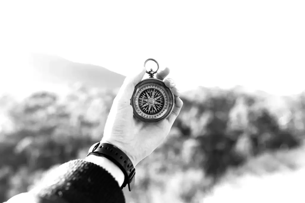 Sesion de Coaching Laboral de 1 hora  